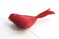 Veren vogel XL rood